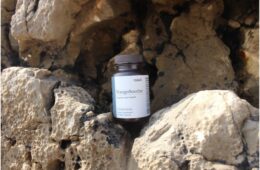 Screenshot 2025 06 17 at 8.31.58 AM